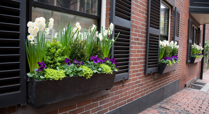 Window boxes outside